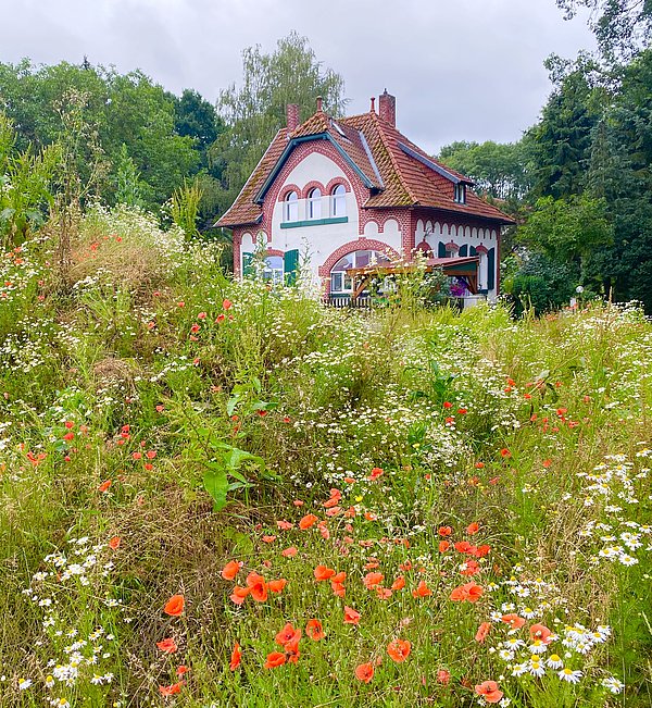 Foto Wettbewerb