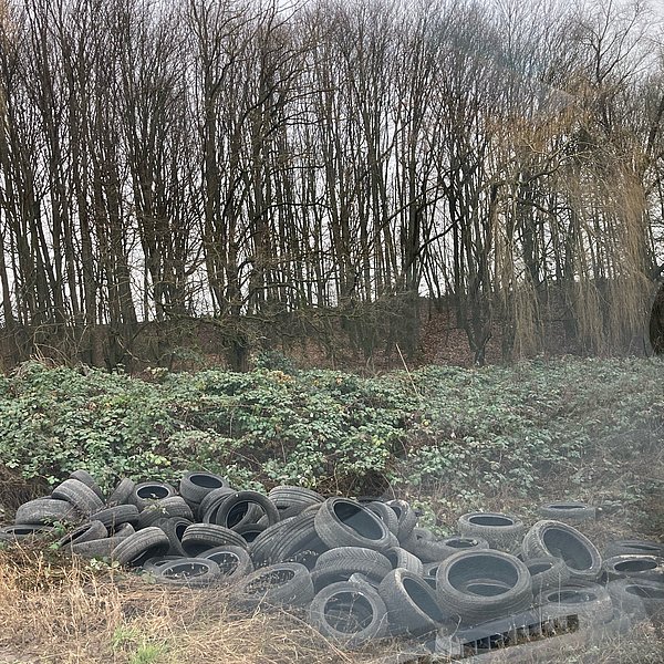 Reifen in die Natur gekippt