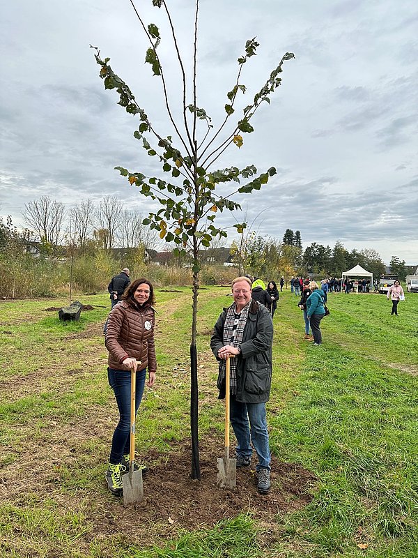 Baum