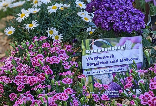Bunte Blumen