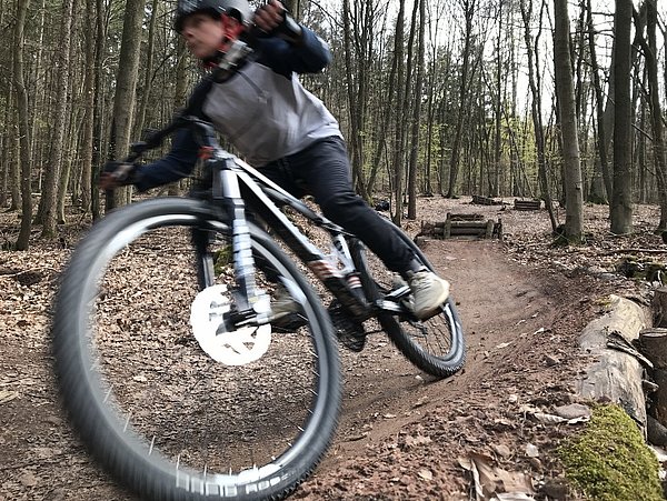 Mountainbiker auf Waldweg