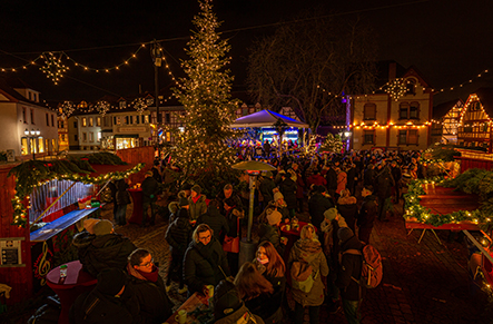 Weihnachtliches Stadtdinner 2021 Freier Platz